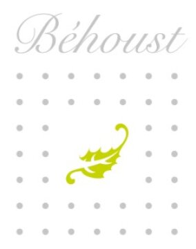 Logo BEHOUST