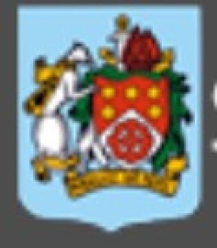 Logo SAINT-MARTIN-DES-CHAMPS