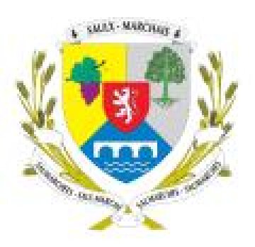 Logo SAULX-MARCHAIS